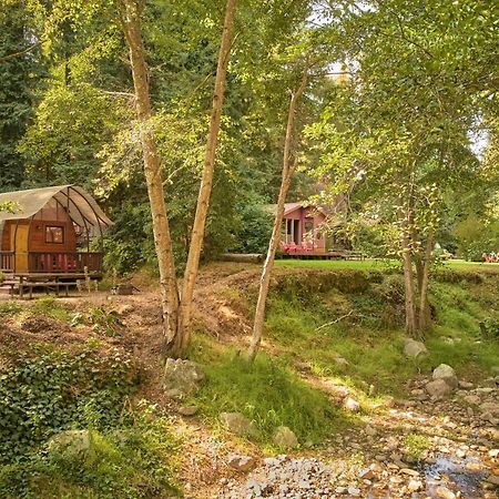 Big Sur Campground And Cabins Exterior foto