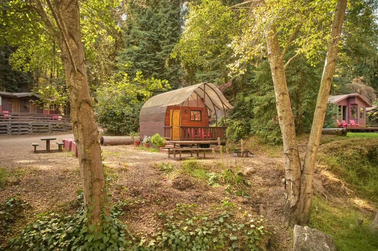 Big Sur Campground And Cabins Exterior foto